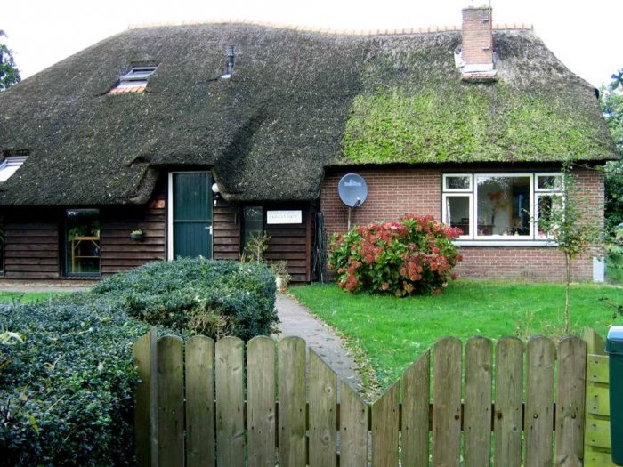 Деревня в Голландии (20 фото)