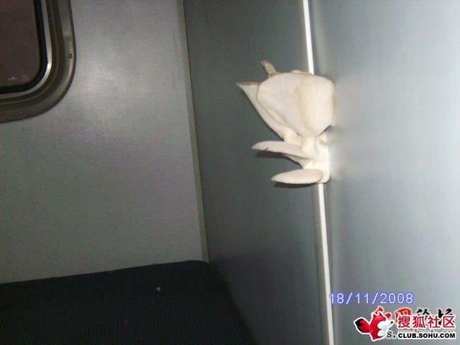 Что растет в китайском поезде (5 фото)