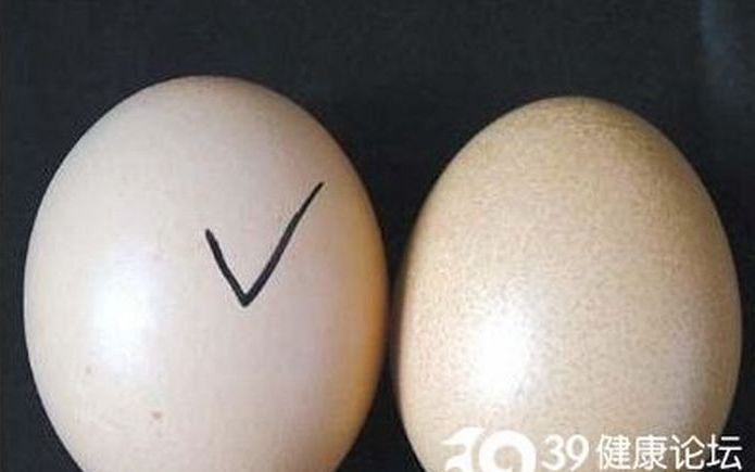 Поддельные яйца (9 фото)