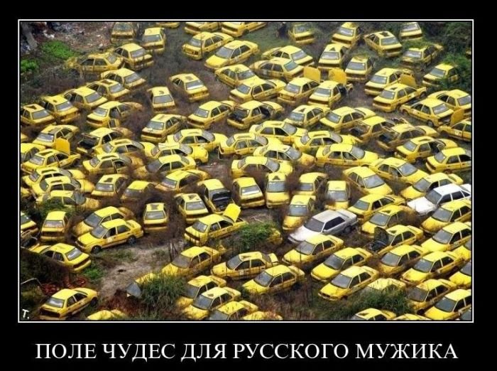 http://www.zagony.ru/admin_new/foto/2010-12-10/1291971340/demotivatory_na_pjatnicu_50_foto_39.jpg